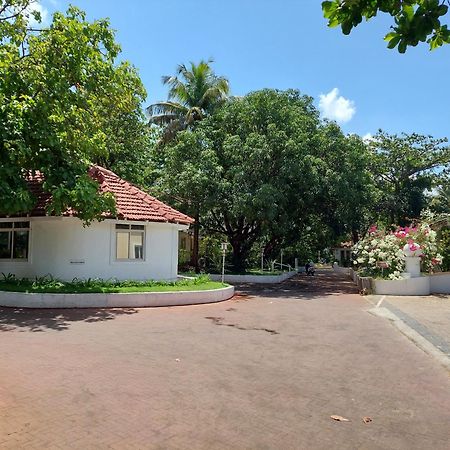 Angels Resort Aradi Socorro Ngoại thất bức ảnh